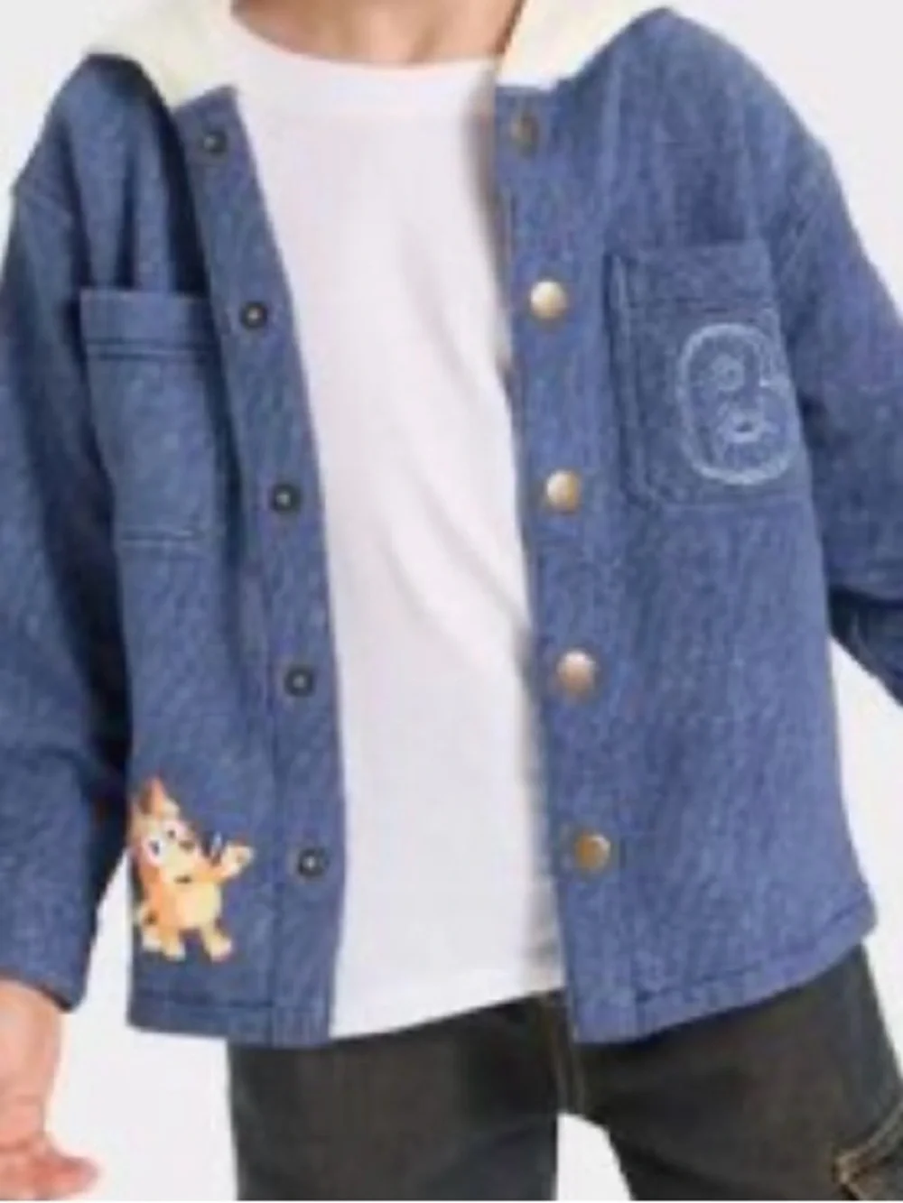 Bluey & Bingo Jacket NWT 2T